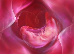 Conséquences de l'hypoxie fœtale pour l'enfant