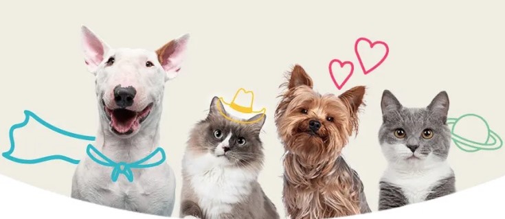 10 типов характера домашних животных