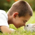 Альтернативы собакам и кошкам в качестве домашних животных