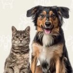 Путеводитель по знакам зодиака домашних животных