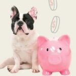 Уход за домашними животными с ограниченным бюджетом