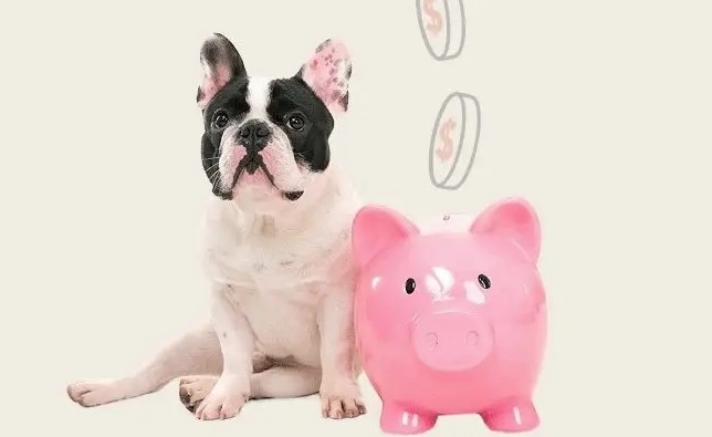 Уход за домашними животными с ограниченным бюджетом